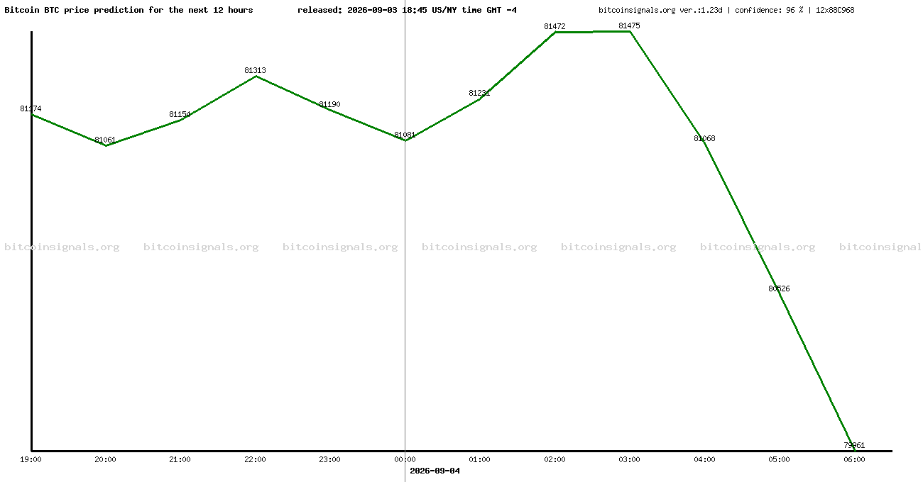 12 hours bitcoin price prediction