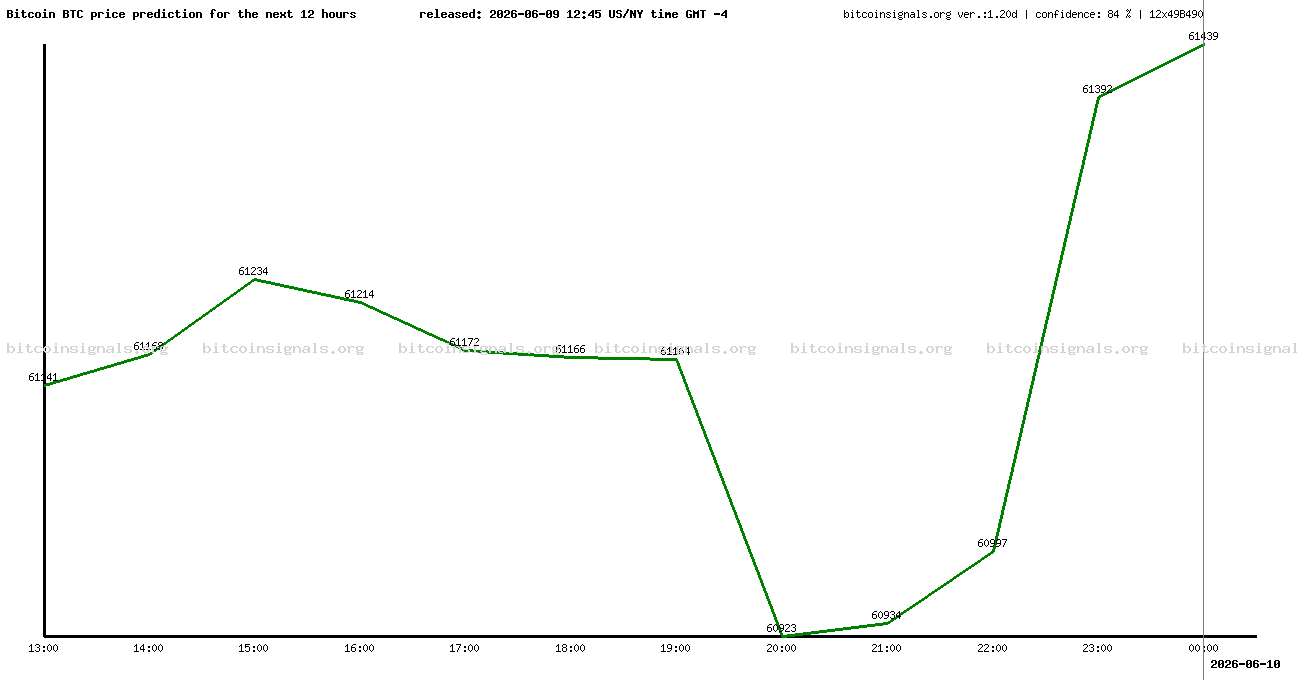 12 hours bitcoin price prediction