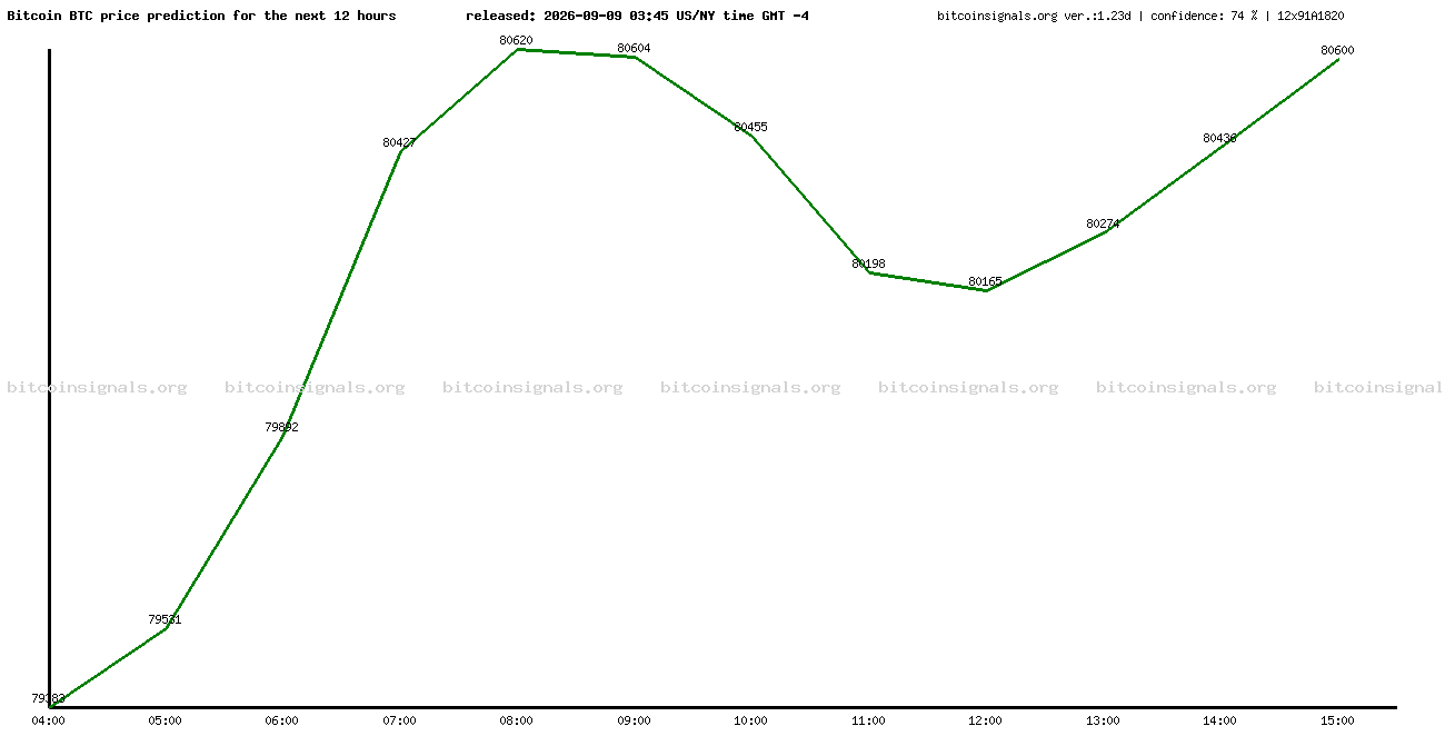 12 hours bitcoin price prediction