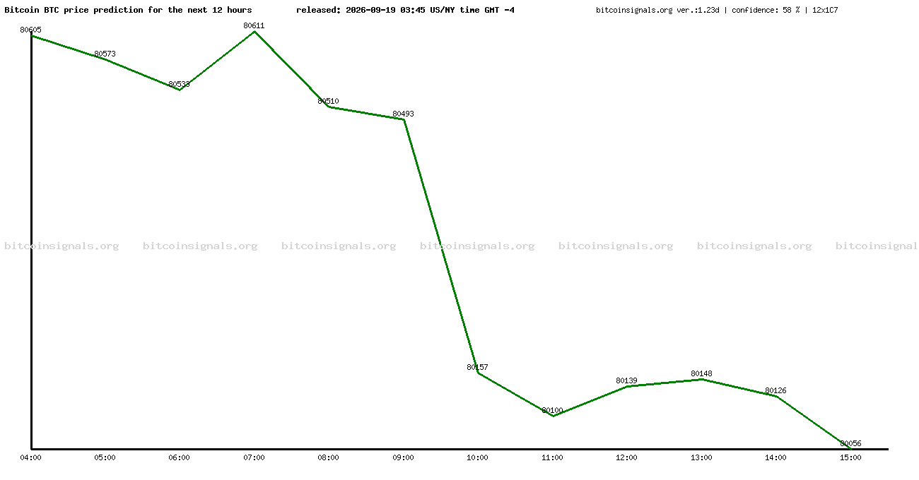 12 hours bitcoin price prediction