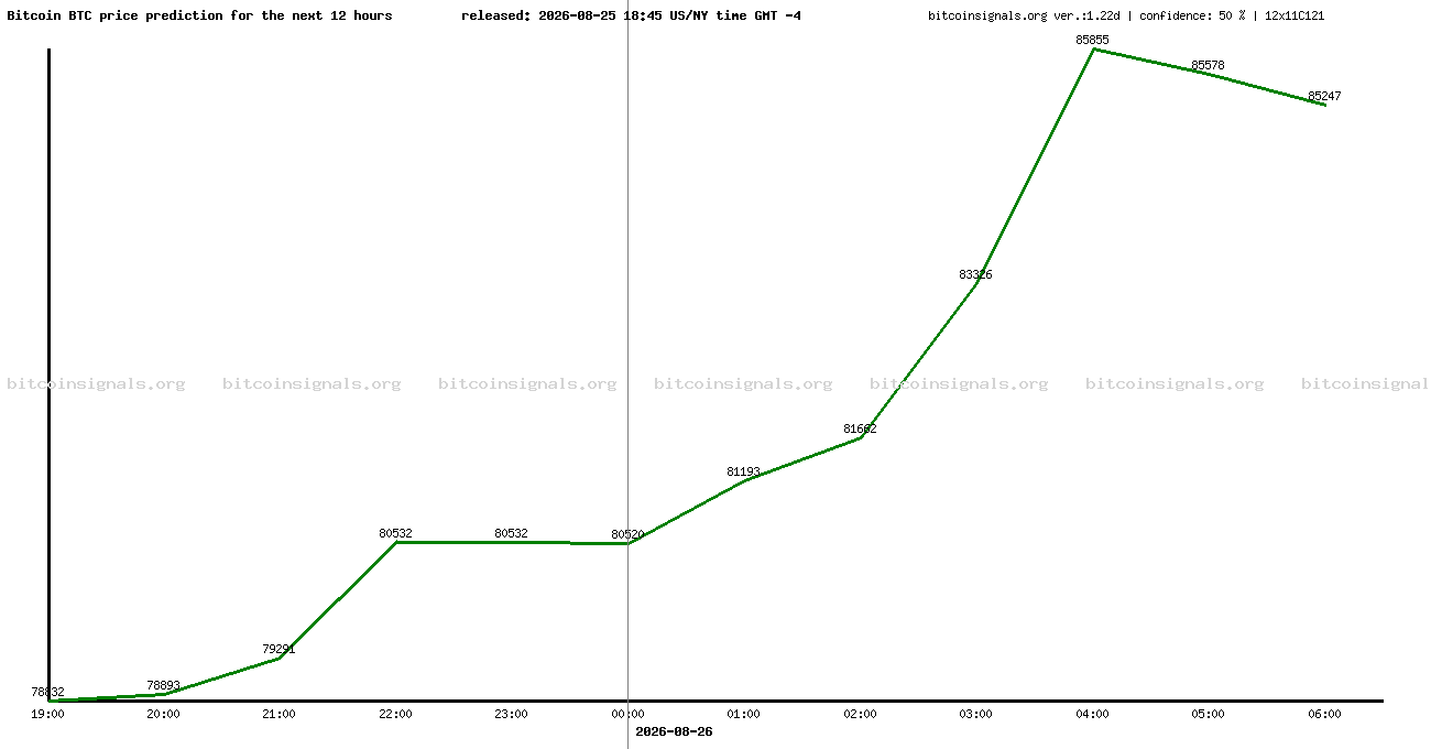 12 hours bitcoin price prediction
